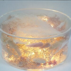 Plateau  lumineux  en plexiglas