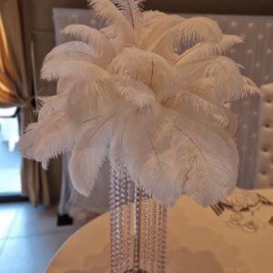Montage de plumes