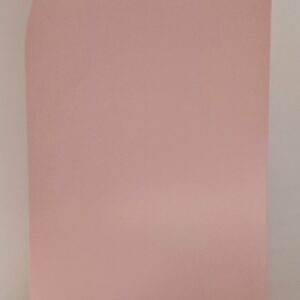 Backdrop rose