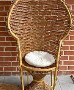 Fauteuil Emmanuelle adulte (modèle A)