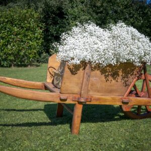 Brouette en bois