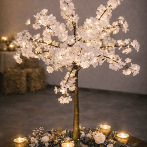 Arbre sakura blanc