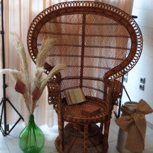 Fauteuil Emmanuelle adulte (modèle B)