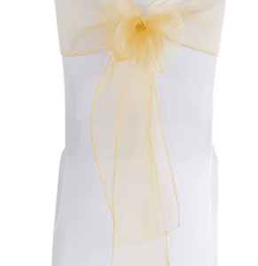 Noeud de chaise en organza doré
